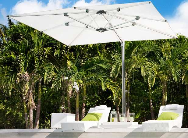 Umbrellas category